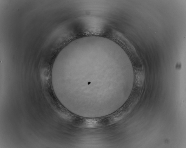 X0000101700701200808071159
