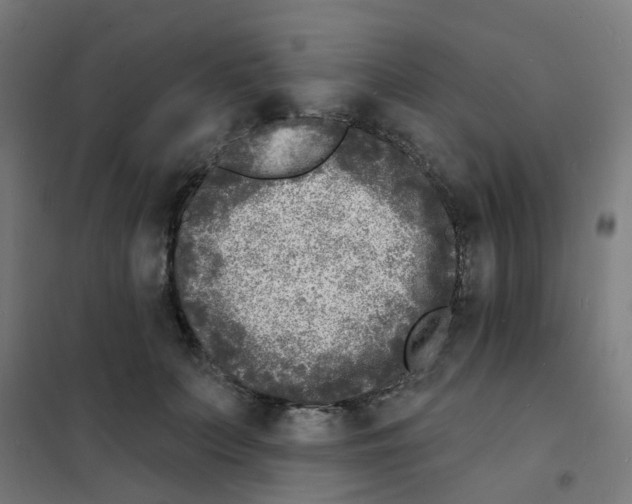 X0000101700703200808071159