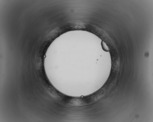 X0000101700704200808071159