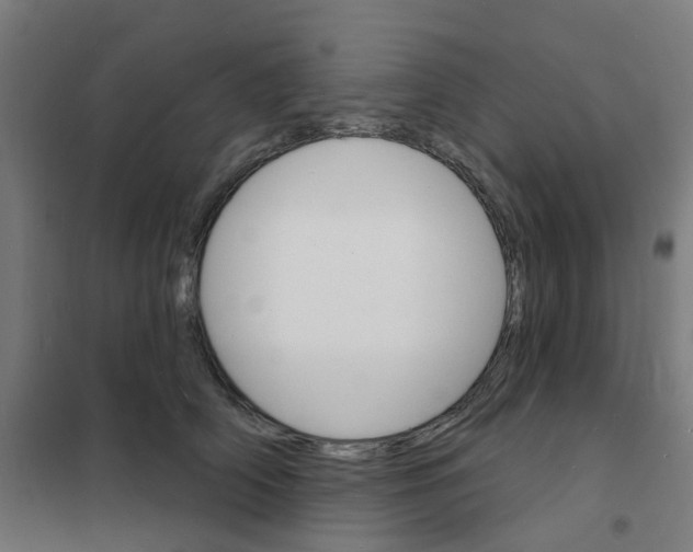 X0000101700706200808071159