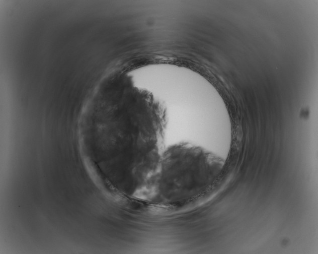 X0000101700707200808071159
