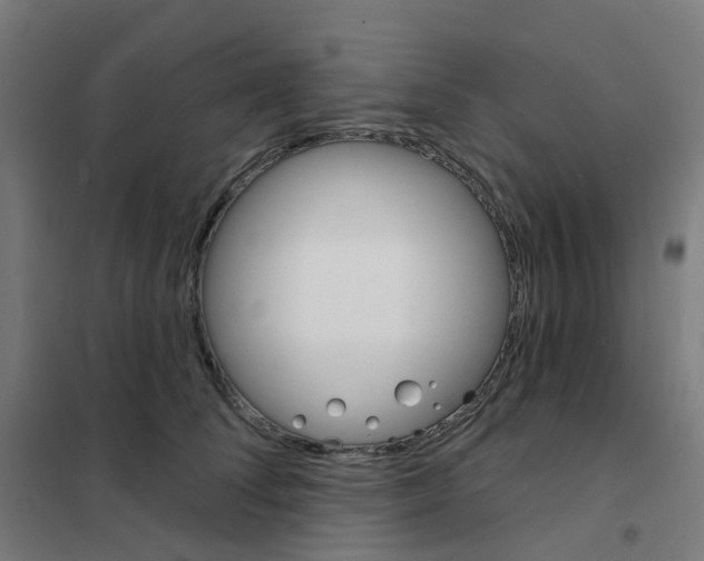 X0000101700708200808071159