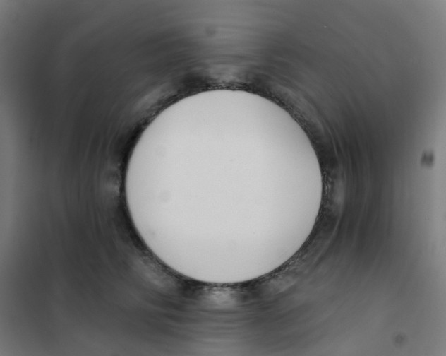 X0000101700710200808071159
