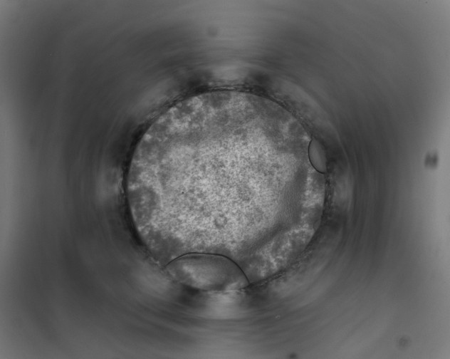 X0000101700711200808071159
