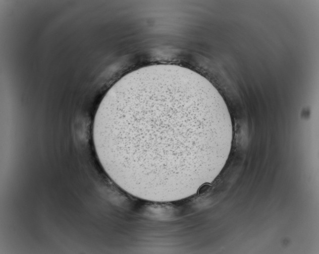 X0000101700712200808071159