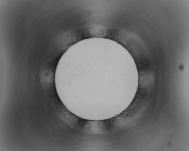 X0000101700713200808071159
