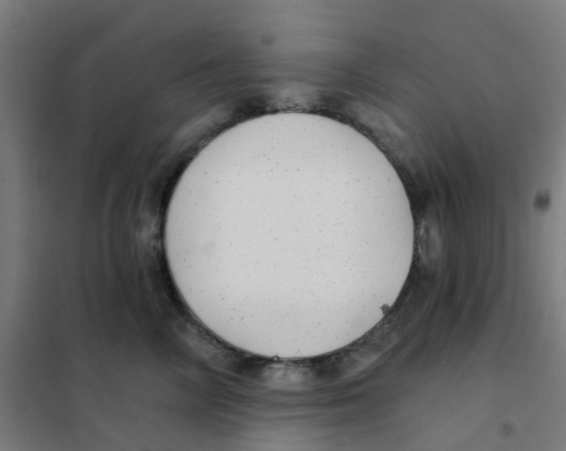 X0000101700714200808071159