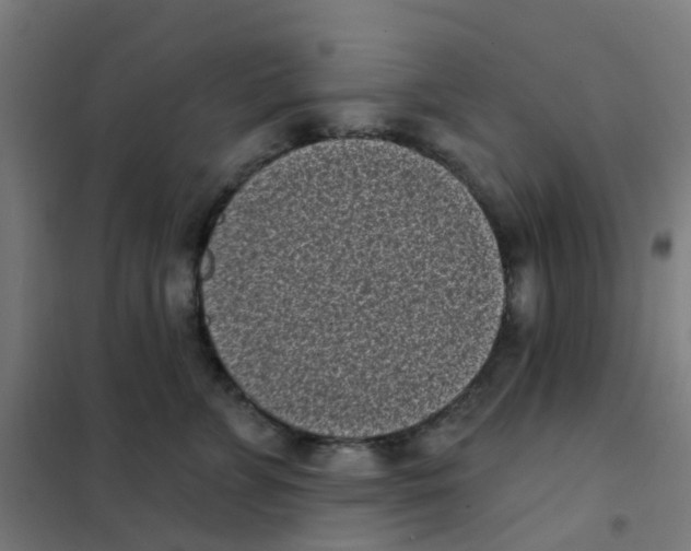 X0000101700715200808071159