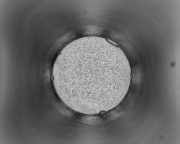 X0000101700716200808071159