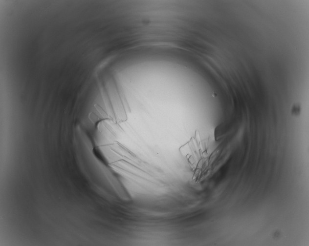 X0000101700717200808071159