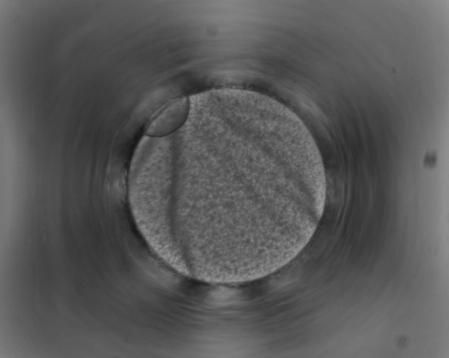 X0000101700718200808071159