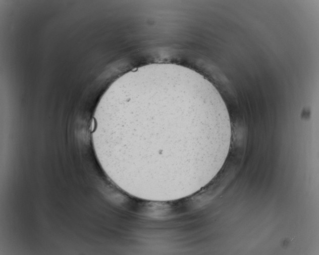 X0000101700719200808071159