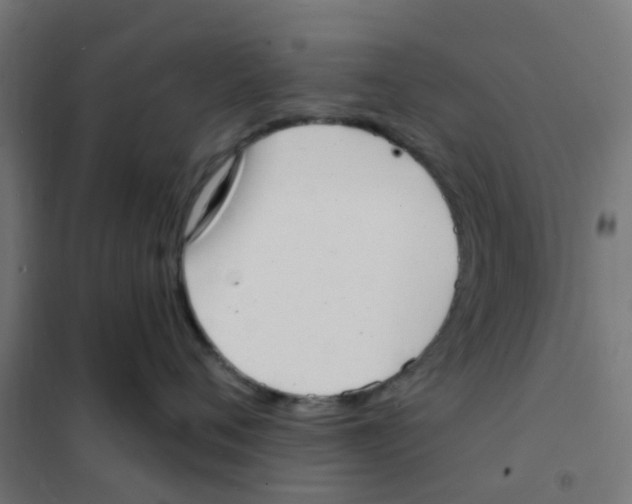 X0000101700720200808071159