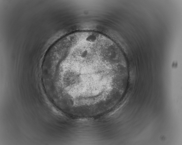 X0000101700721200808071158