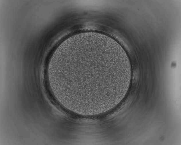 X0000101700722200808071158