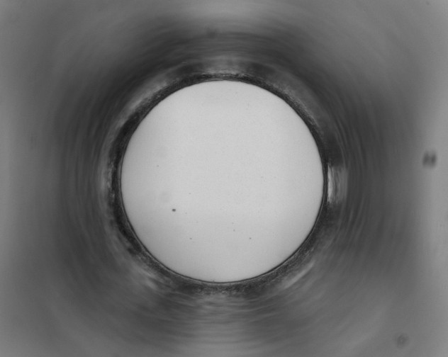 X0000101700723200808071158