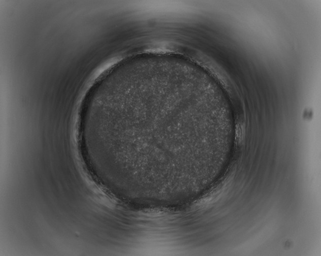 X0000101700724200808071158