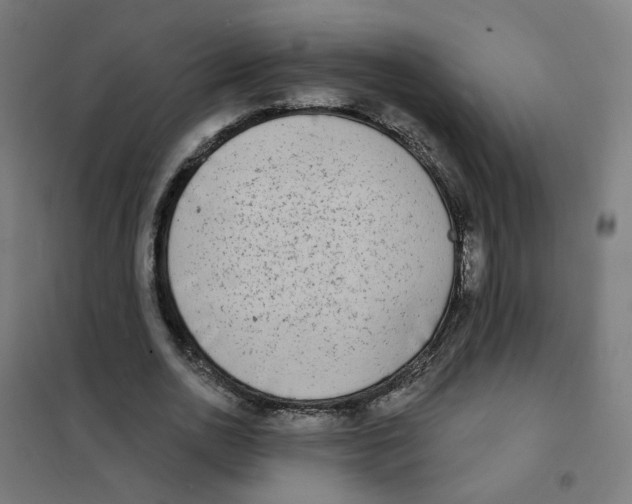 X0000101700726200808071158