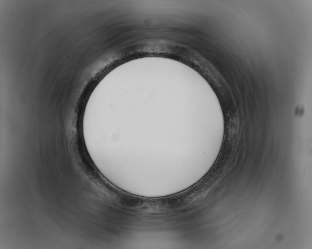 X0000101700727200808071158