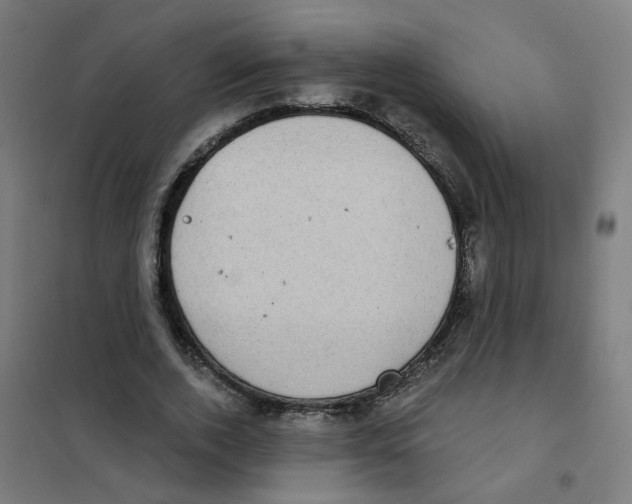 X0000101700728200808071158