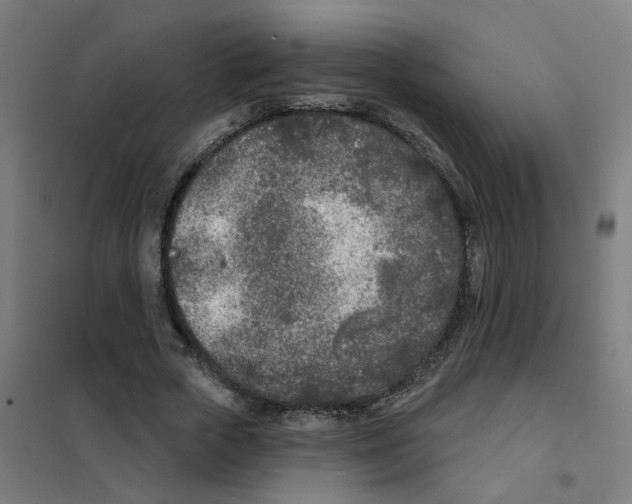 X0000101700729200808071158