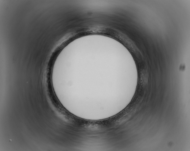 X0000101700730200808071158