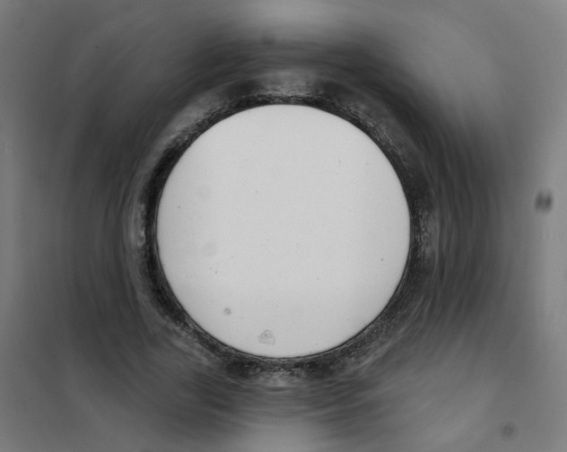 X0000101700731200808071158