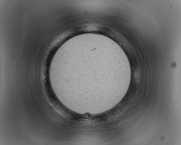 X0000101700732200808071158