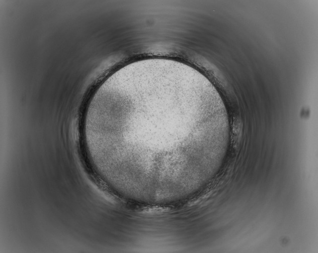 X0000101700734200808071158