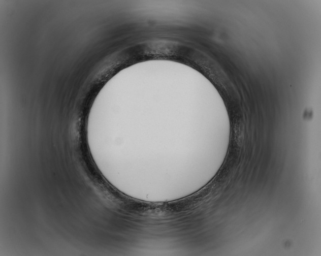 X0000101700735200808071158