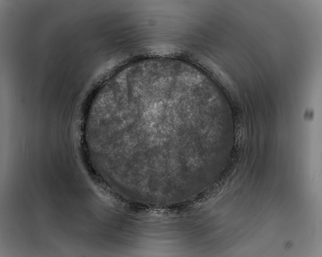 X0000101700736200808071158