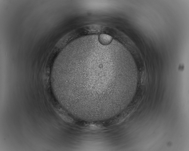 X0000101700737200808071158