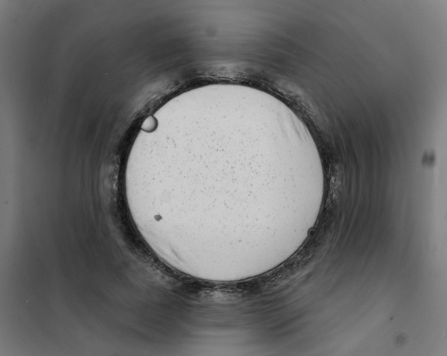 X0000101700739200808071158
