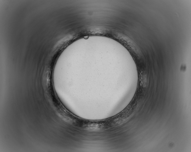 X0000101700740200808071158
