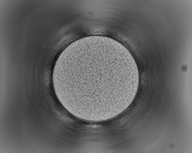 X0000101700741200808071158