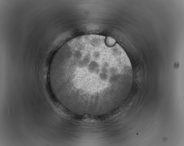 X0000101700742200808071158