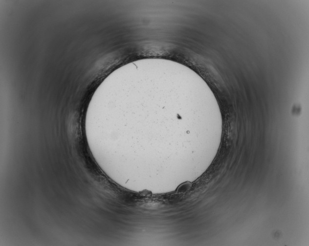X0000101700743200808071158