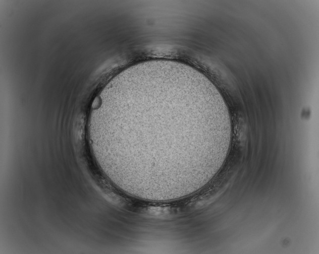X0000101700744200808071158