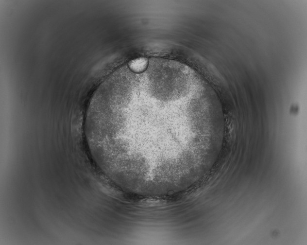 X0000101700745200808071158