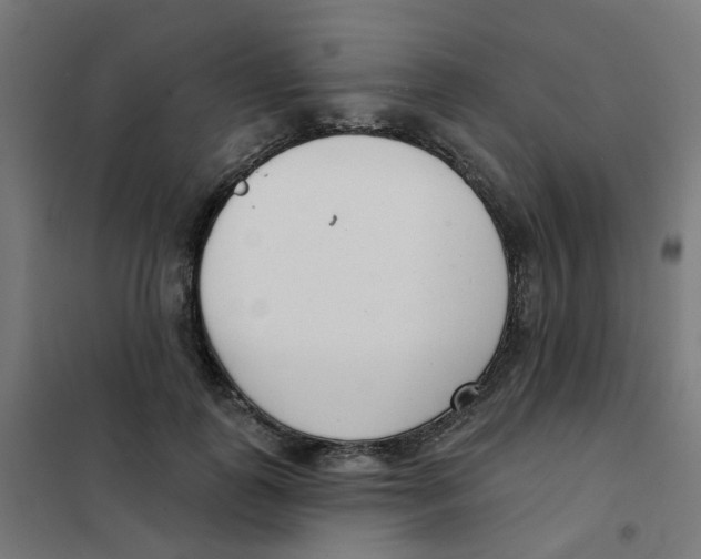 X0000101700747200808071158