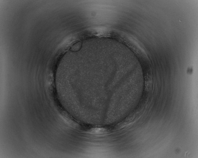 X0000101700748200808071158