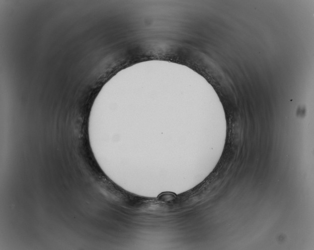 X0000101700750200808071158