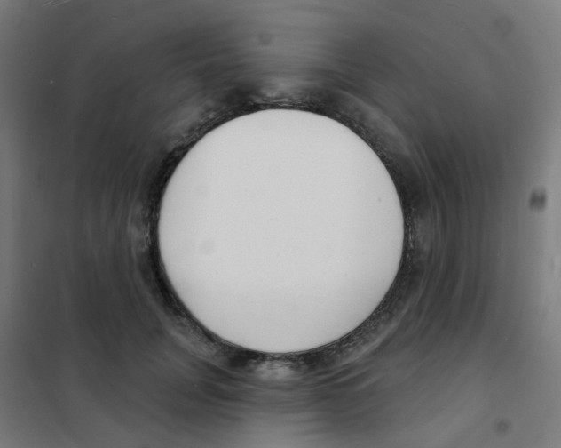 X0000101700751200808071158