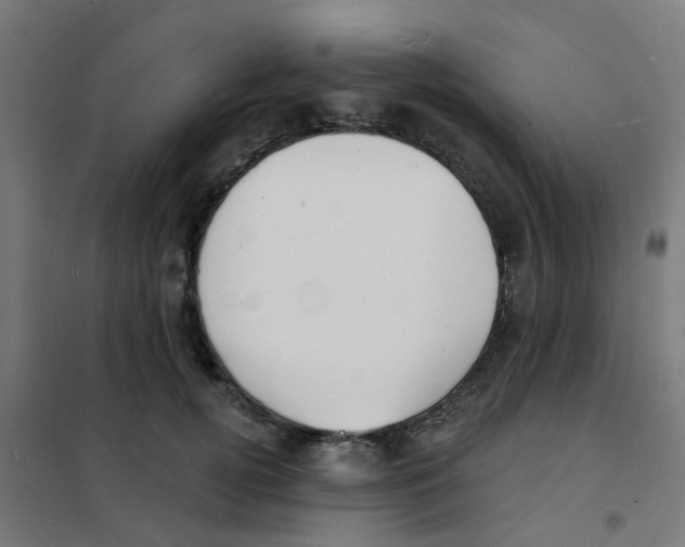 X0000101700752200808071158