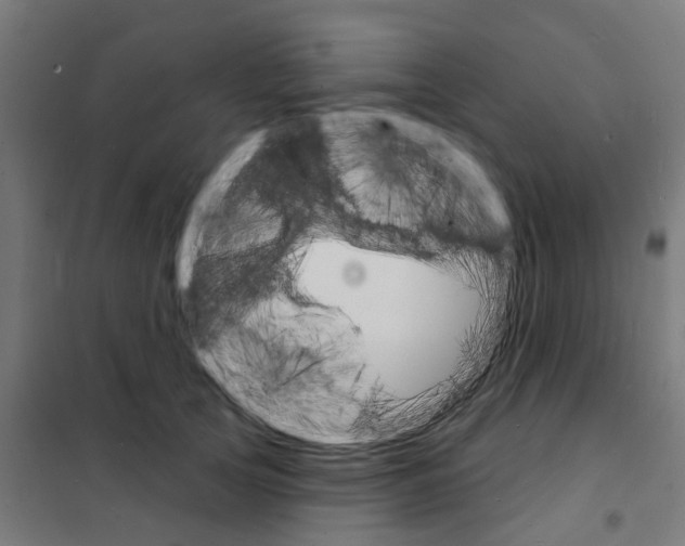 X0000101700753200808071158