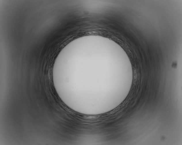 X0000101700754200808071158