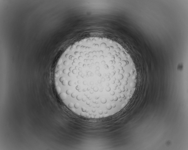 X0000101700755200808071158