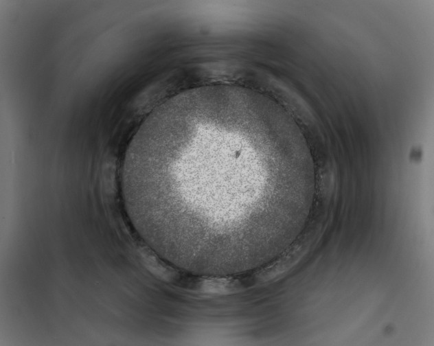 X0000101700757200808071159