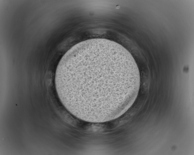 X0000101700758200808071159