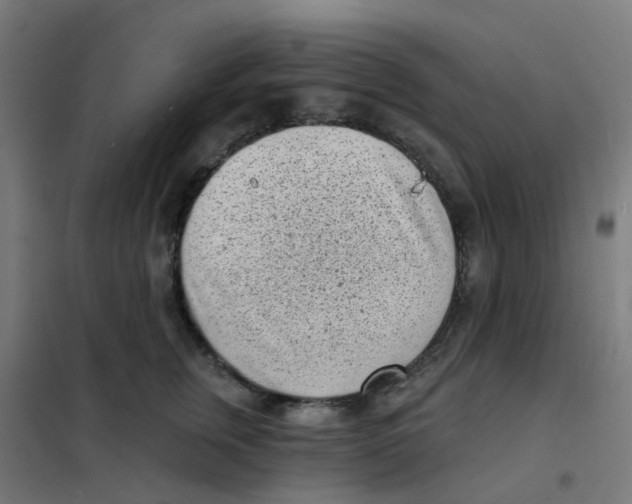 X0000101700759200808071159